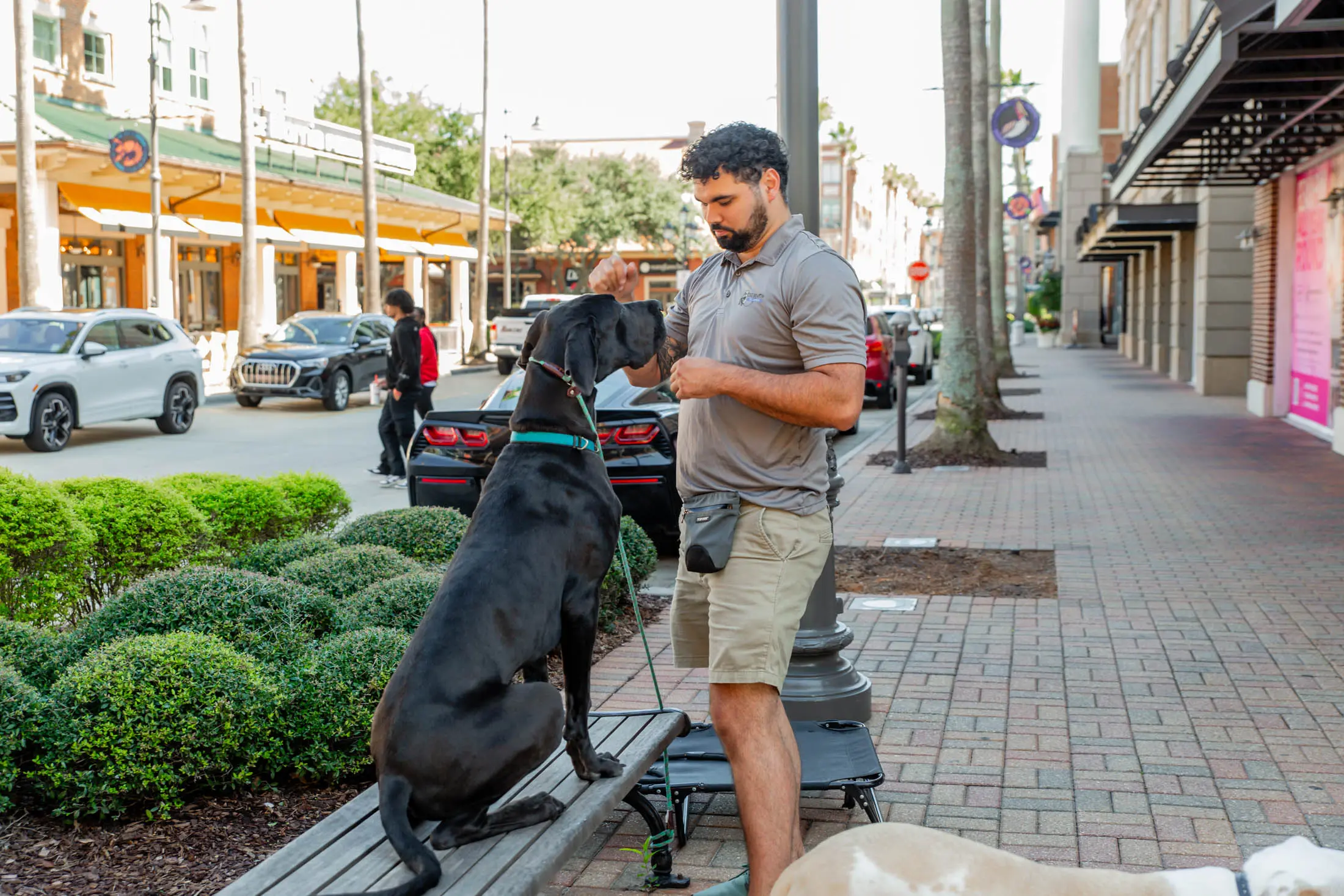 Man standing with a large black dog on a city sidewalk.