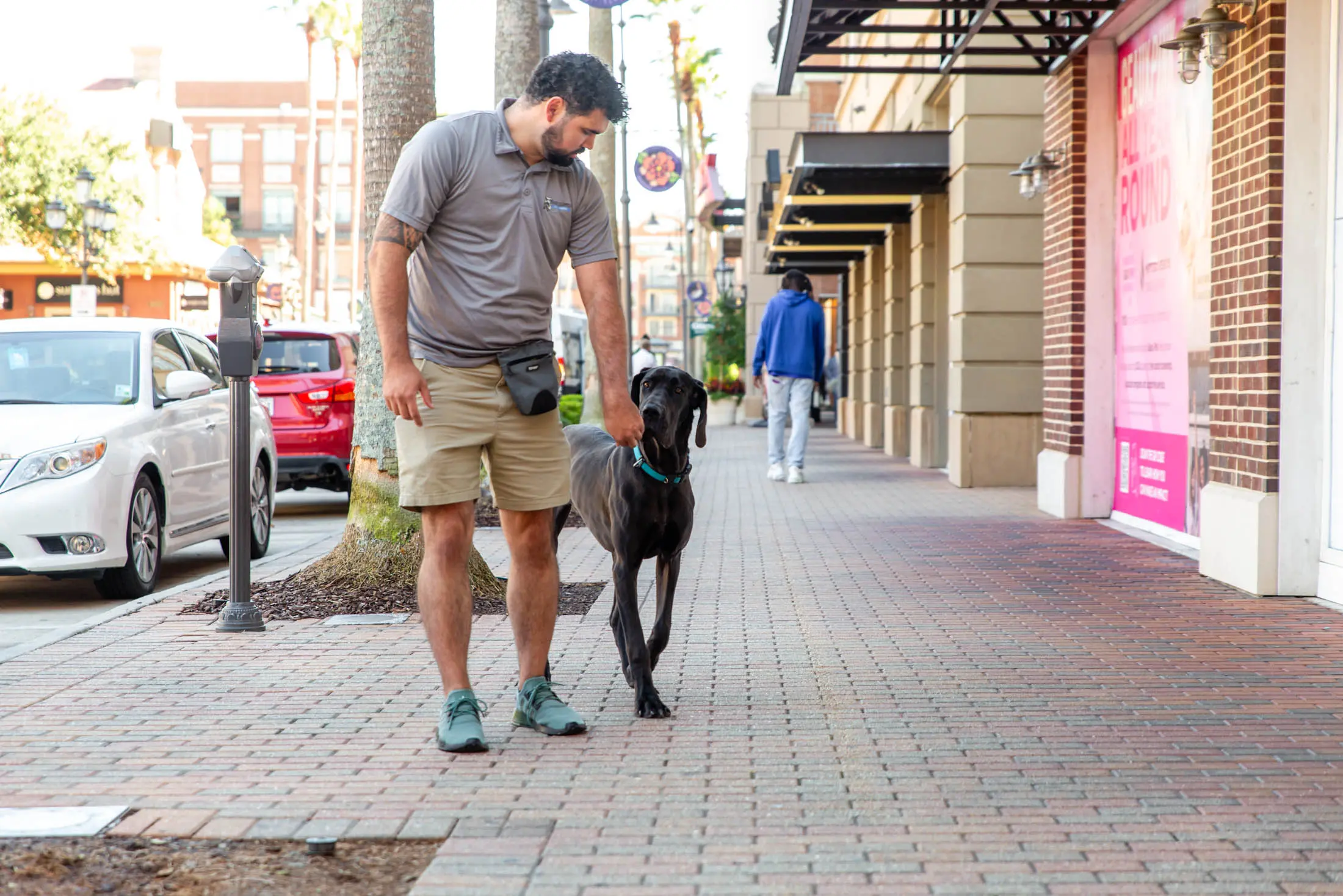 Man walking a black dog on a city sidewalk during daytime.