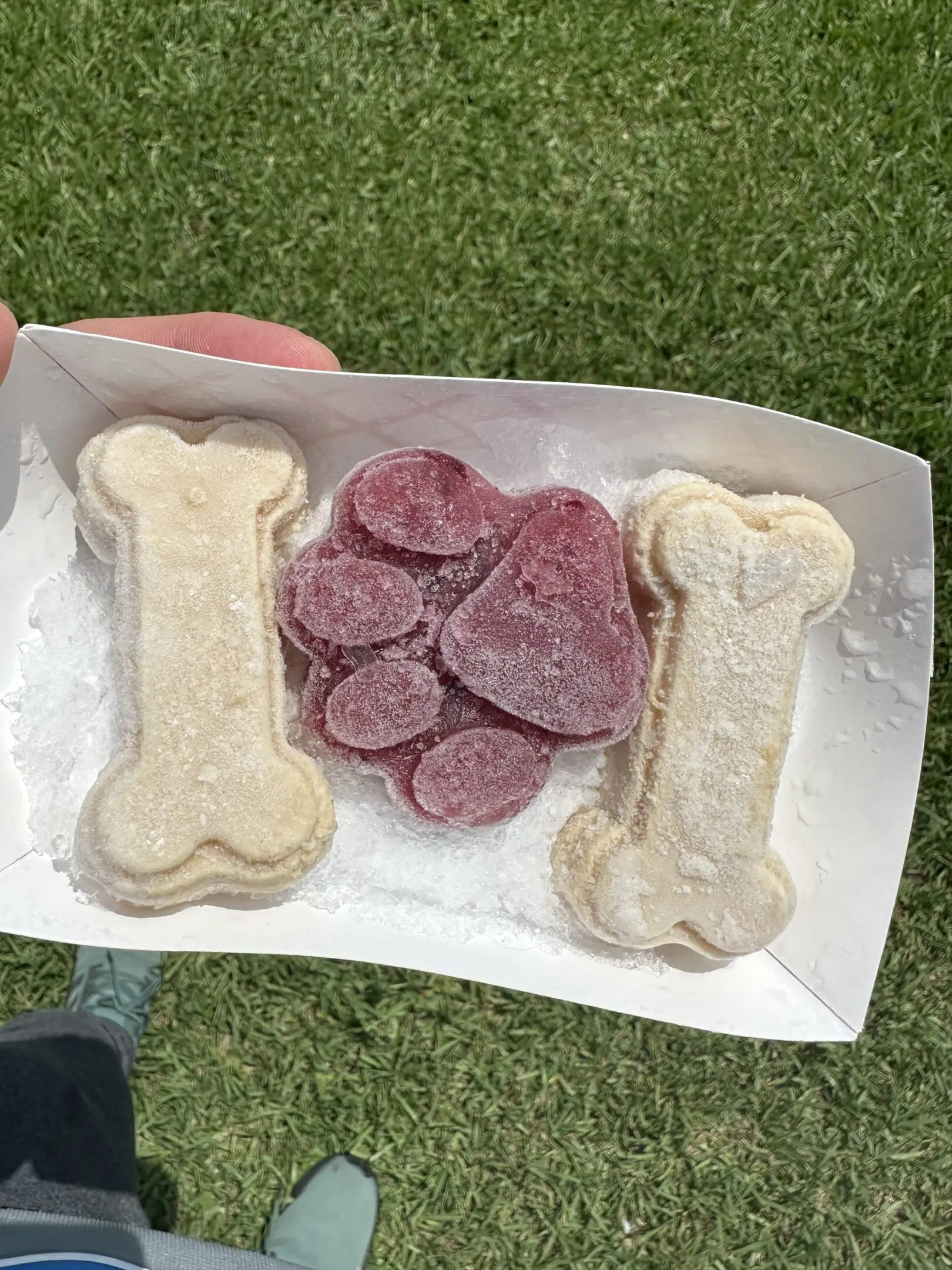 Frozen dog treats shaped like bones and hearts on a plate outdoors.