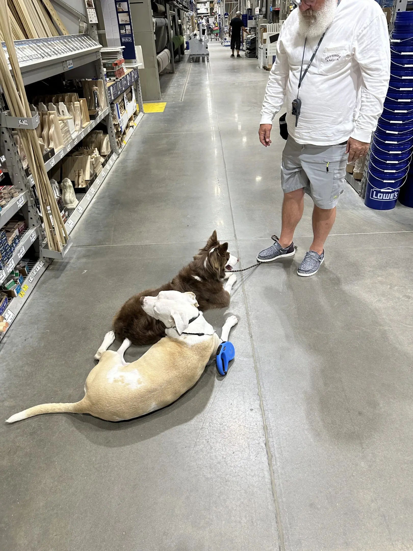 A dog riding a toy dinosaur in a store aisle.