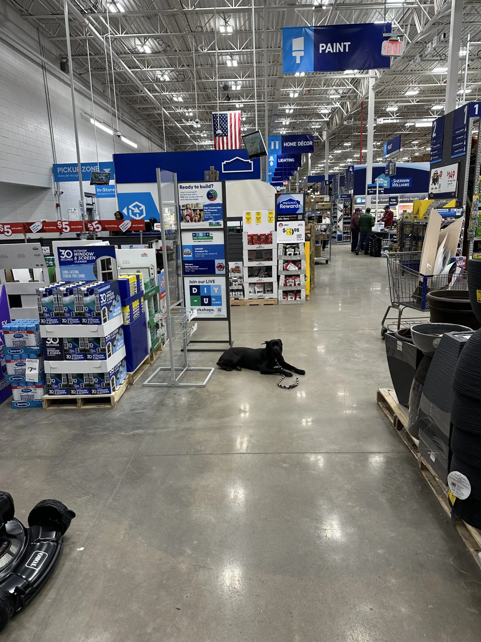 A black cat lying on the floor inside a large electronics store.