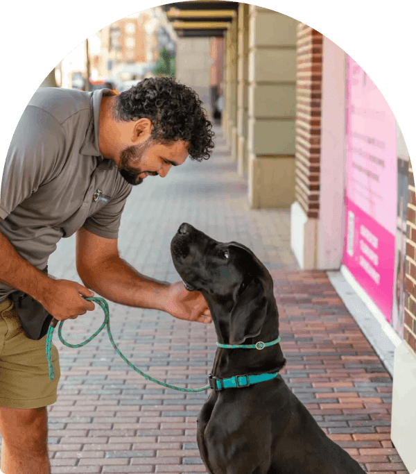 Man affectionately interacting with a black dog on a sidewalk.